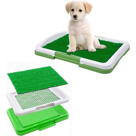 Trade Shop - Caja De Arena Maxi Para Cachorros De Perro Césped Wc Tela Absorbente Orinal Cachorros Hogar - (1/2)