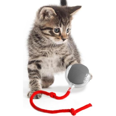 Jouet interactif pour chat - Balle intelligente pour chat avec détecteur de mouvement (1/5)