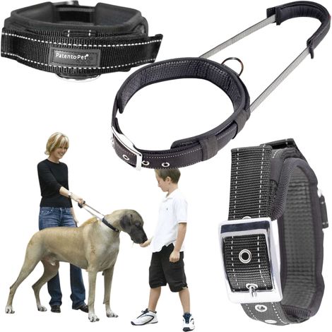 Collare per addestramento cani con maniglia e guinzaglio corto (1/5)