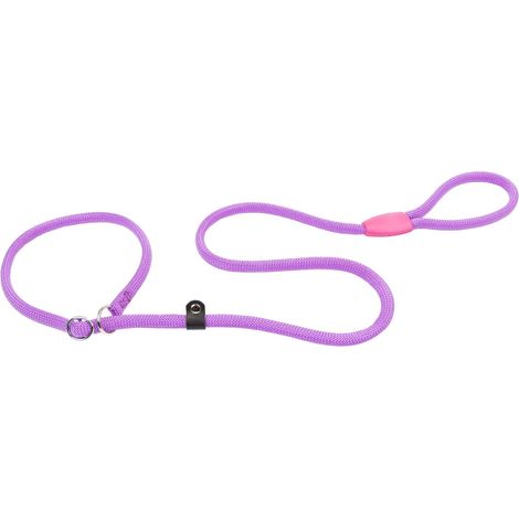 Laisse et Collier pour Chien, Laisse avec Collier Demi-étrangleur Ajustable, en Corde de Nylon, Poignée pour Un Contrôle Sûr, Longueur 170 cm, Violet (1/5)