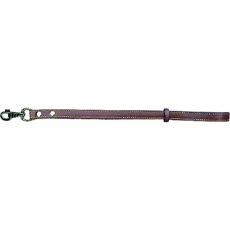 GUINZAGLIO PER CANE larg. mm 18  lung.cm 50