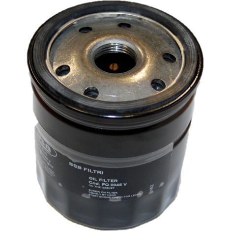 Hydraulik-Ölfilter 25 Mikron, Gianni Ferrari / Bieffebi 00777650058 (1/3)