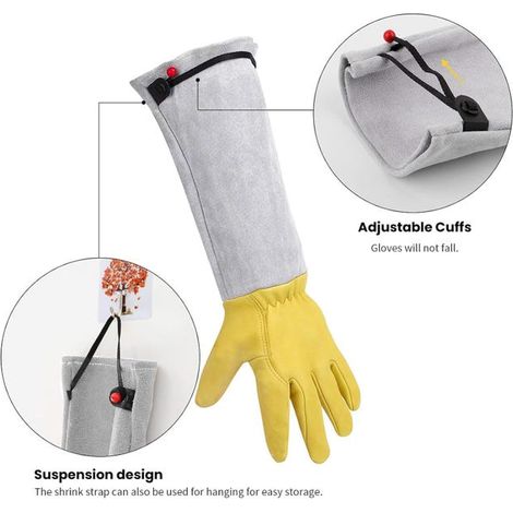 Guanti da giardinaggio da donna/uomo, guanti da giardinaggio in pelle - regalo per giardinaggio, attrezzi, guanti antitaglio, guanti con rose e spine, attrezzi da giardinaggio (S) (1/4)