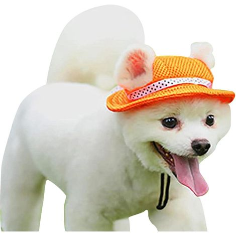 Chapeau de soleil orange pour chien et chat, casquette ronde d'été, protection UV animaux, visière anti-chaleur, couvre-chef léger à mailles (1/5)
