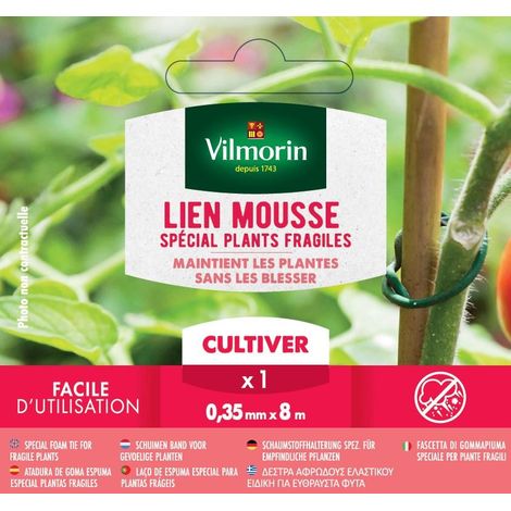Vilmorin Lien Mousse Jeunes Pousses Fragiles - 3.5 mm