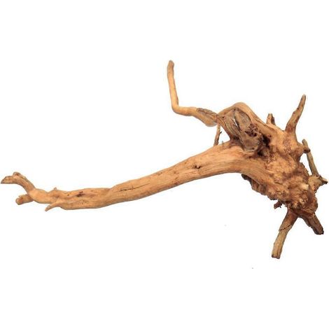 Bois flotté naturel pour aquarium, branches assorties, décoration pour petit habitat de reptiles, 6 pièces (1/4)