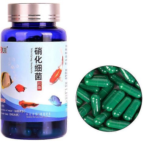 Voici une proposition de titre produit en français, respectant la limite de 190 caractères :

50 Gélules Concentrées de Bactéries Nitrifiantes pour Aquarium 20/30/50/80/100 Pièces - Nettoyage Eau Douc