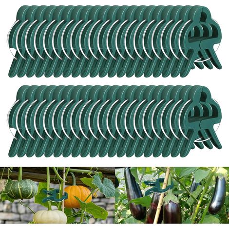 Clip de Support Grimpante 50 Pièces Vert Pinces Vigne Exterieur Grimpantes Comme Tomates Concombres Haricots Etc 50 Petites jardin (1/5)