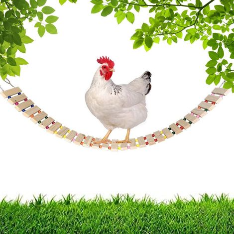 Perchoir à bascule pour poules, perchoir en bois naturel pour poules et perroquets, accessoires pour poulailler autoportants, jouets d'éveil intellectuel (1/5)