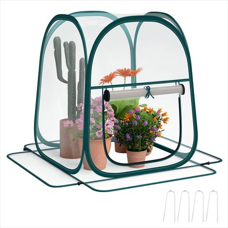 Serre de jardin 70 x 70 x 80 cm Pop-up Transparente avec Fenêtre (1/5)