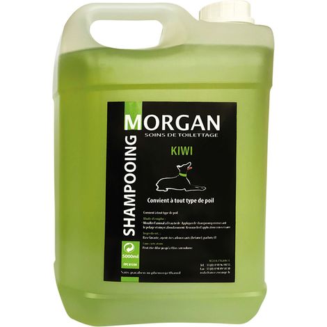 Shampoing protéiné senteur Kiwi Morgan : 5L