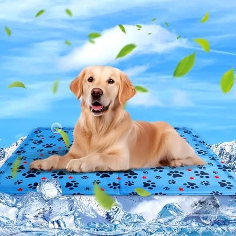 Kühlmatte für Hunde und Katzen, Kühlmatte für Hunde, Kühlmatte für Haustiere, wasserdicht und leicht zu reinigen, geeignet für kleine und große Hunde, 90 x 60 cm (1/5)
