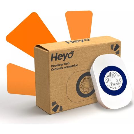 Récepteur sans-fil - 700m de portée (HEYO) (1/5)