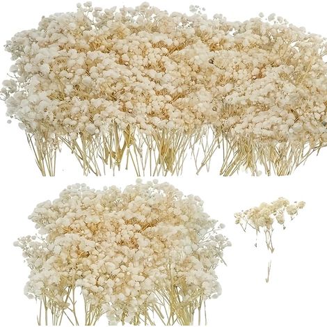 Flores secas, perfectas para bodas y decoración del hogar, color beige. (1/2)