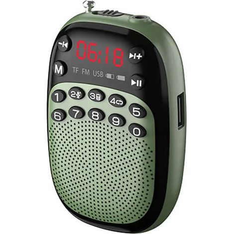 Mini radio FM de poche, radio DSP portable rechargeable, enceinte Bluetooth sans fil, enregistrement intégré/externe, carte TF, lecture de musique USB (1/5)