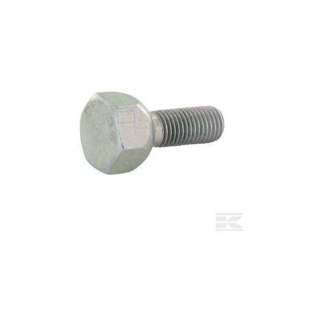 Vis 10 x 1.25 - Plat 19 mm