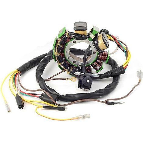 Bobine de stator de magnéto pour moto Polaris ATV SPORTSMAN 50 335 400 500 WORKER 335 3084974 3086860 3086239 (1/5)