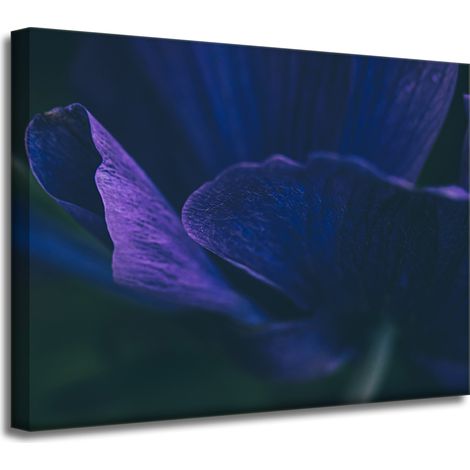 Leinwanddruck Botanik Lila Blütenblätter 40x30