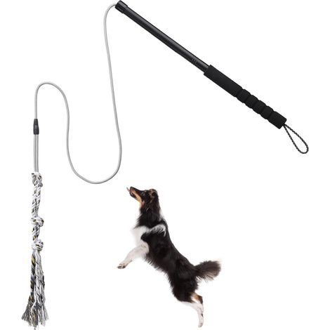 Canne à pêche pour chien Jouet de flirt interactif avec corde en coton rétractable pour entraînement et agilité des animaux de compagnie (1/3)
