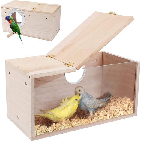1 Nichoir Bois, Design Transparent Acrylique, Boîte Élevage Volière, Pour Perroquet Et Moineau, Intérieur Extérieur
