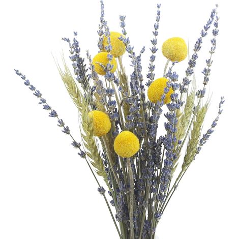 Bouquet de Fleurs Séchées Naturelles Fleurs Séchées Blé Branches de Lavande Séchés Naturel Fleurs Décoration pour Mariage Décoration Maison Fête Boho Vase Arrangements Floraux Séchés Décoratifs (1/5)