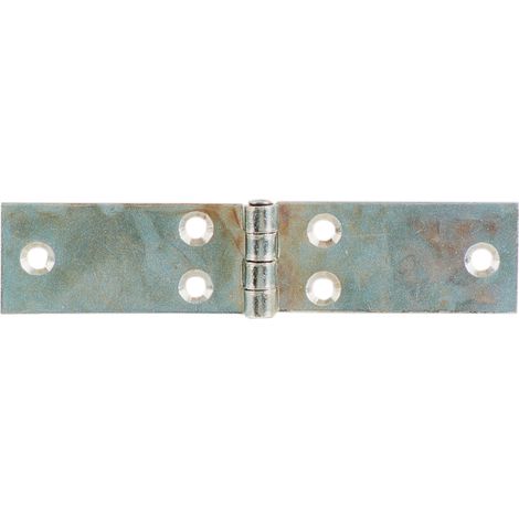 Cerniera Perno Fisso Lunga Acc Zinc 100 x 25 mm Aldeghi Luigi Spa 24 Pezzi