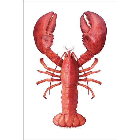 sticker mural homard rouge - ESTAhome (1/4)