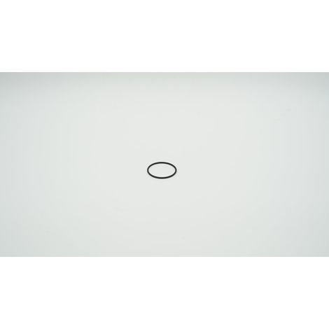 BWT Joint torique pour bol de filtre E1, 1-904441