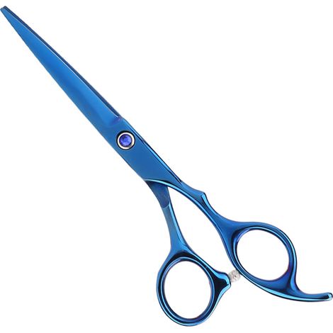 Tondeuses professionnelles pour chiens, ciseaux de toilettage, tondeuses bleues. (1/5)