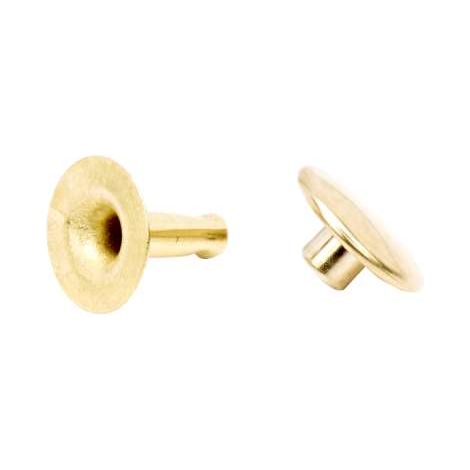Rivetti Maschio/Femmina Ottonati Mm.33