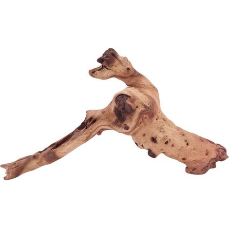 M Mopani Wurzel Nr.4774 Holz Deko Aquascaping