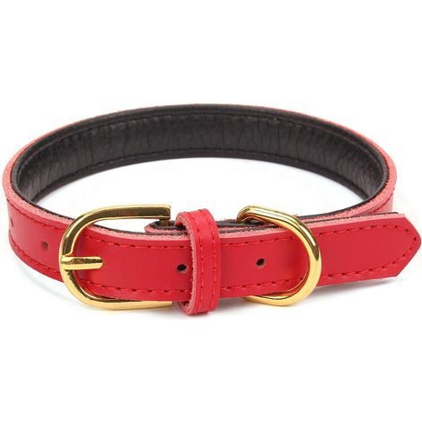1 Collier chien, cuir rembourré, alliage nickelé, anneau D renforcé, réglable 5 trous, chat chiot petite moyenne taille (1/5)