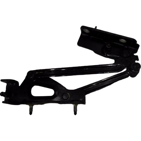 Compas Gauche Coffre Arriere PEUGEOT 407 Coupe (1/2)
