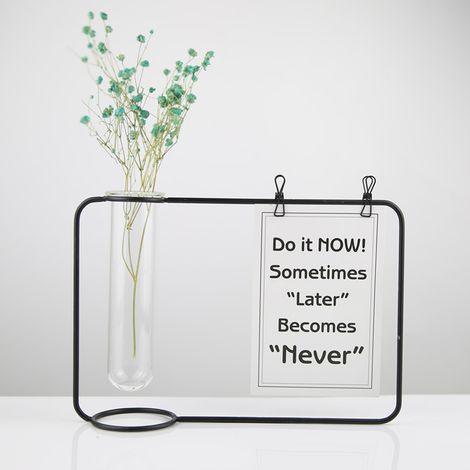 Innovatives Hydroponik-Set, transparentes Reagenzglas als Hängedekoration – Blumenständer mit Metallrahmen, Borosilikatglas 24 x 17 cm, Schwarz (1/5)