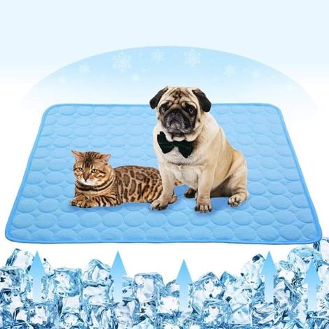 Tapis rafraîchissant pour chat et chien - Portable et lavable - Bleu - 70 x 56 cm - 1 pièce (1/5)