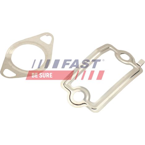 Kit guarnizioni valvola EGR rapida FT49925 (1/2)