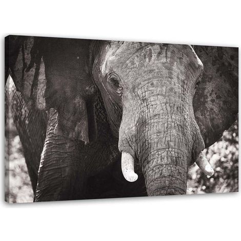 Tableau sur toile Eléphant Afrique Noir et Blanc 60x40 (1/5)