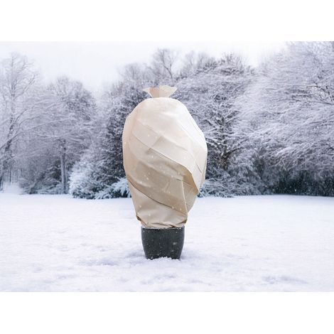 Voile d'hivernage 60 g/m² 2 x 5 m - Nature (1/4)