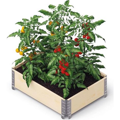 Carré potager buri upyard bois pin 80x60 cm
