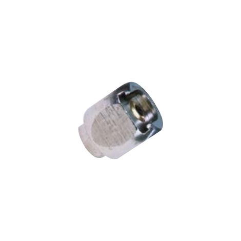 Testina gigante per ingrassatore a testa tonda da 22 mm filetto 10x1 mm