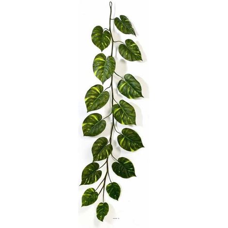 Guirlande de feuilles de pothos H 230 cm largeur 70 cm