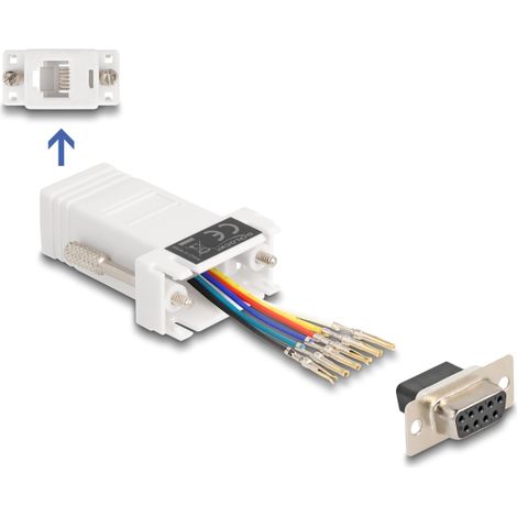 Delock D-Sub hembra de 9 pines a RJ12 hembra, kit de montaje blanco