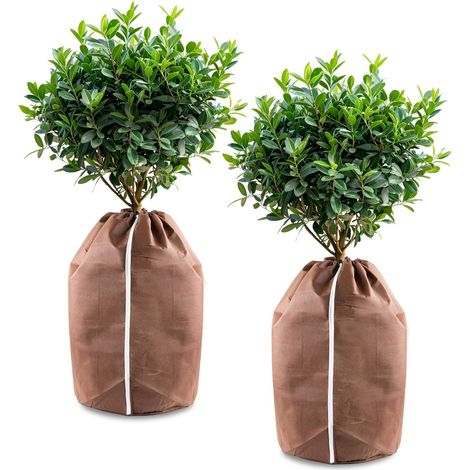 (2 pièce) Sac Anti Gel pour Plantes en Pot, Protection pour Plantes, Protection hivernale pour Plantes, 40 x 40 cm, Oxford (1/5)