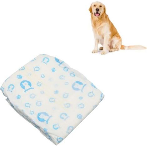 Couches pour chiens mâles ,couches jetables pour chien animal de compagnie hygiène XL tout neuf (1/4)