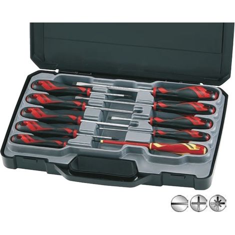 Juego de 10 destornilladores MD910N TENGTOOLS (1/2)