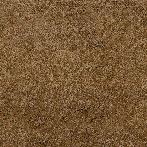 Moquette Chromaluxe - Noisette - Rouleau de 4m x 3m