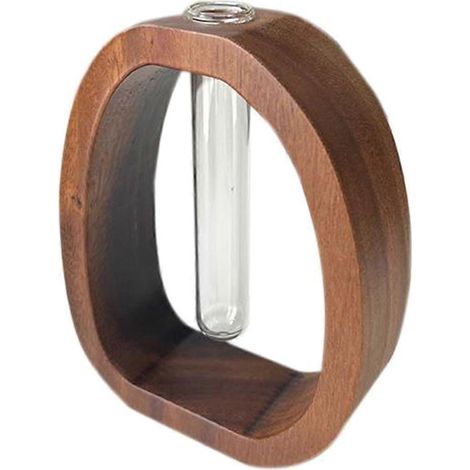 Terrarium hydroponique en verre, décoration pour la maison ou le bureau. Plante verte en petit pot. (1/5)