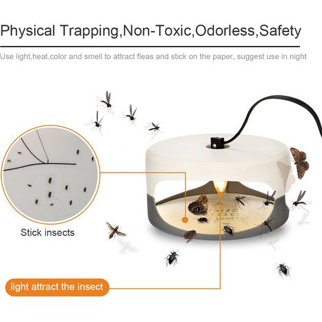 Lampe anti-puces électrique collante ronde, piège à mouches non toxique pour la maison (1/4)