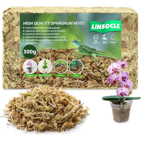 300g Tourbe de Sphaigne pour Plantes - Substrat Adapté à Monstera et Orchidées - Bon Terreau Intérieur (1/5)
