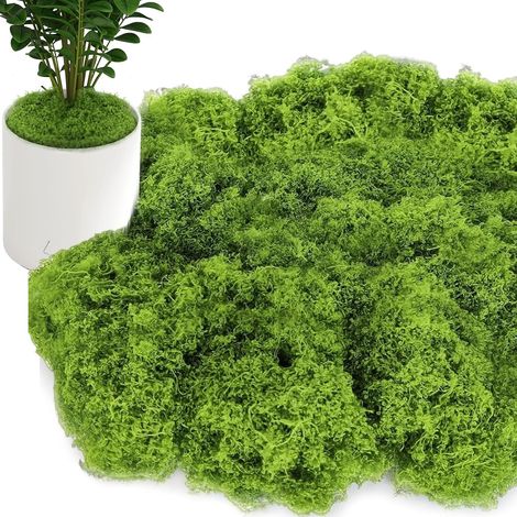 150 g de mousse artificielle vert clair, douce et réaliste, réutilisable. Convient pour une utilisation extérieure, idéale pour la décoration florale et les projets de bricolage. Convient également po (1/5)